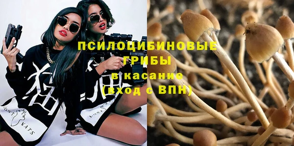 гашиш Михайлов