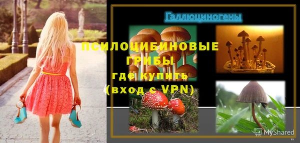 гашиш Михайлов