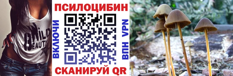 площадка Telegram  Мензелинск  Псилоцибиновые грибы мухоморы  где продают   блэк спрут ссылка 